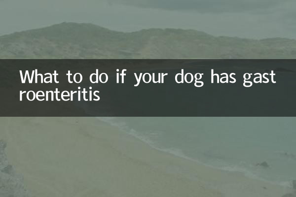 Что делать, если у вашей собаки гастроэнтерит