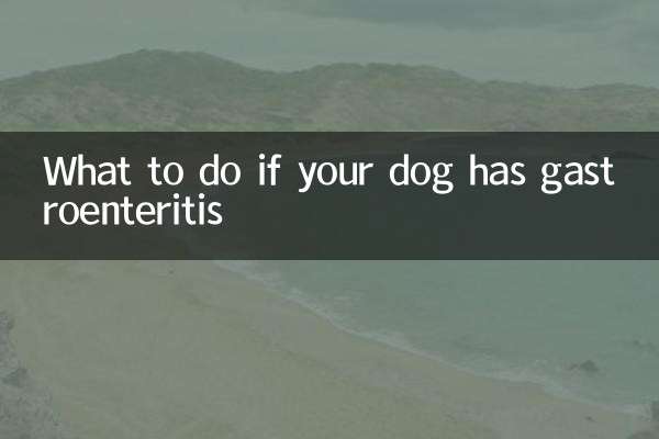 Что делать, если у вашей собаки гастроэнтерит