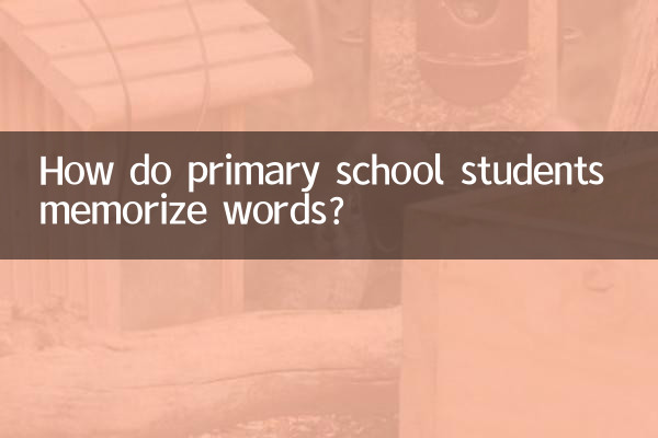 دانش آموزان دبستان چگونه کلمات را حفظ می کنند؟