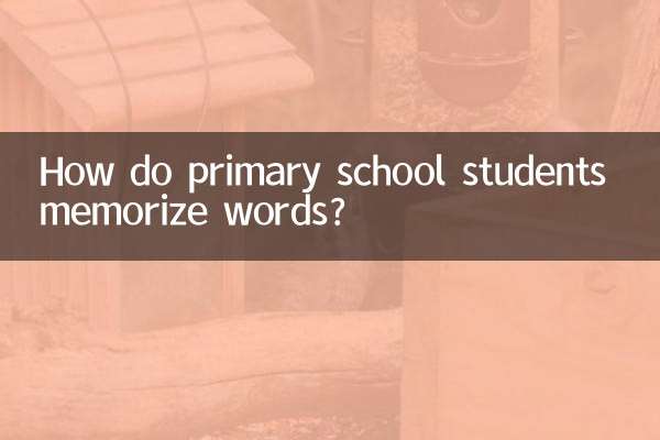 Comment les élèves du primaire mémorisent-ils les mots ?