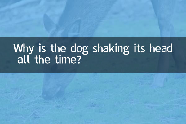 Por que o cachorro balança a cabeça o tempo todo?