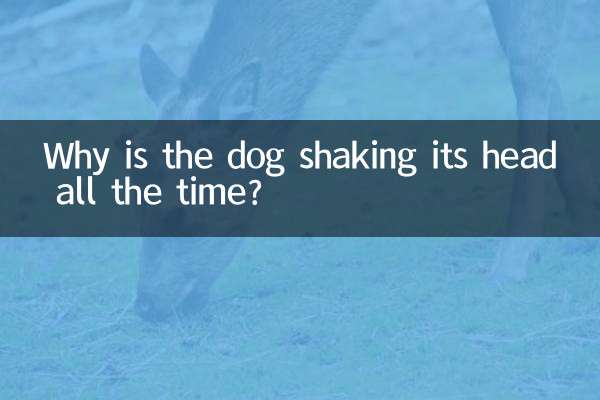 なぜ犬はいつも首を振っているのですか?