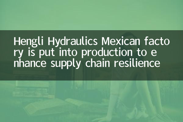 Hengli Hydraulics Mexican factory is put into production to enhance supply chain resilience