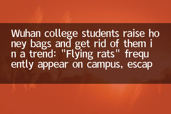 Die Studenten der Wuhan College erziehen Honigtaschen und werden in einem Trend los: 