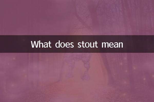 O que significa Stout