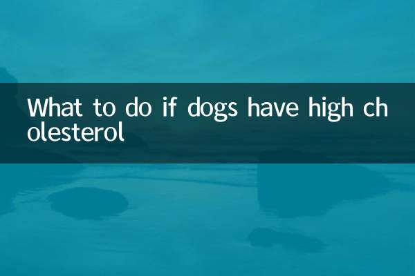 What to do if dogs have high cholesterol