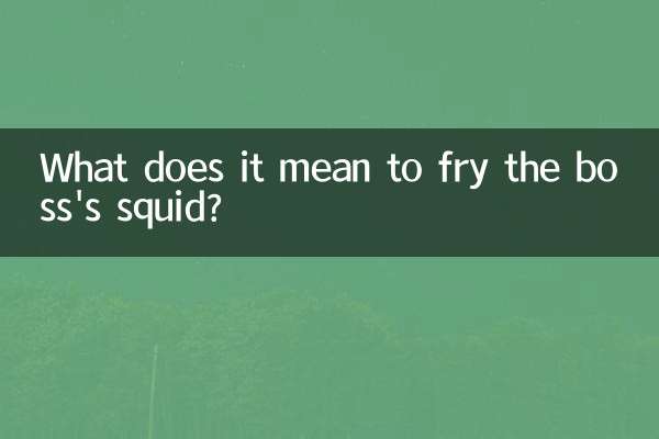 What does it mean to fry the boss's squid?