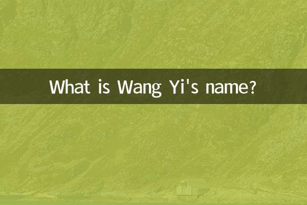 Qual è il nome di Wang Yi?