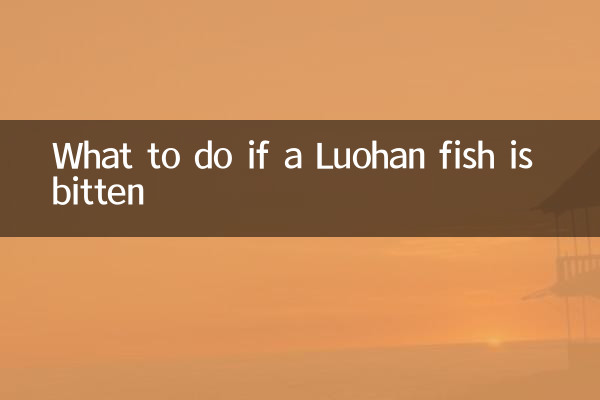 Que faire si un poisson Luohan est mordu