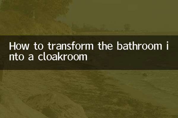 How to transform the bathroom into a cloakroom