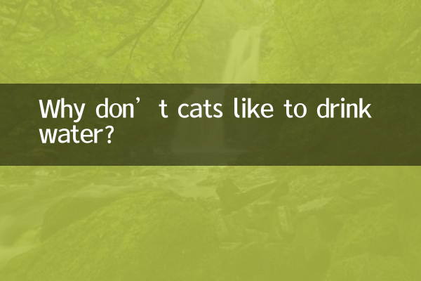 猫怎么不爱喝水
