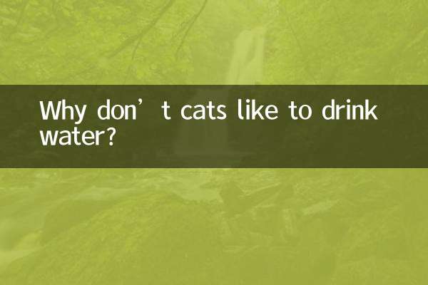 ¿Por qué a los gatos no les gusta beber agua?