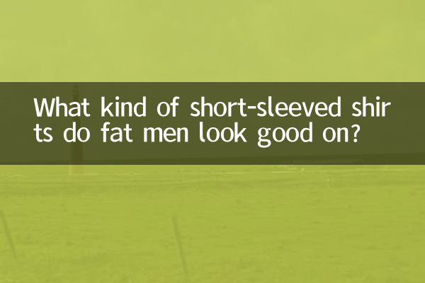 মোটা পুরুষদের কি ধরনের শর্ট-হাতা শার্ট ভালো দেখায়?