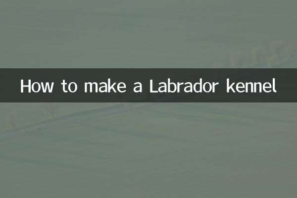 چگونه لانه لابرادور بسازیم