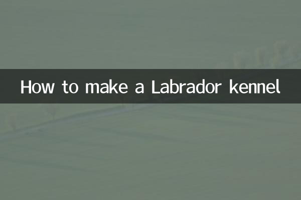 چگونه لانه لابرادور بسازیم