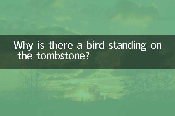 Why is there a bird standing on the tombstone?