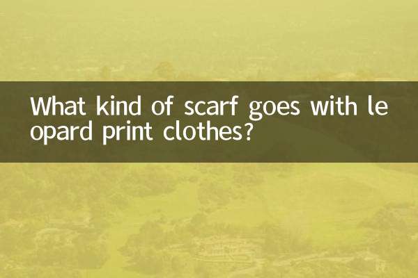 What kind of scarf goes with leopard print clothes?