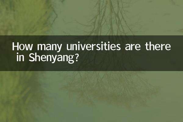 Wie viele Universitäten gibt es in Shenyang?