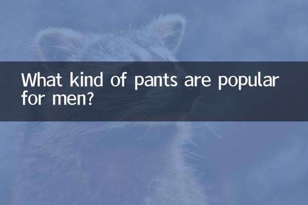 Quels types de pantalons sont populaires chez les hommes ?