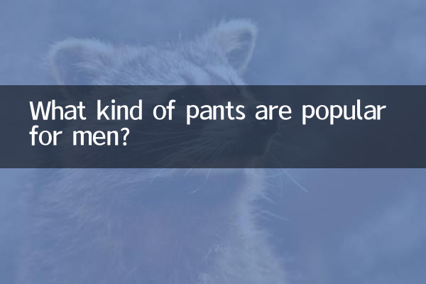 What kind of pants are popular for men?