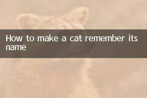 Cómo hacer que un gato recuerde su nombre
