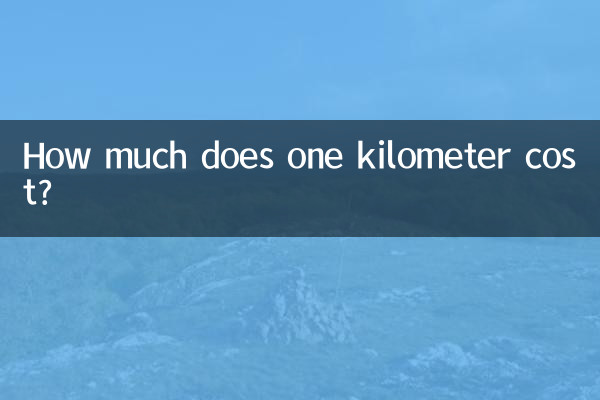 1km의 비용은 얼마입니까?