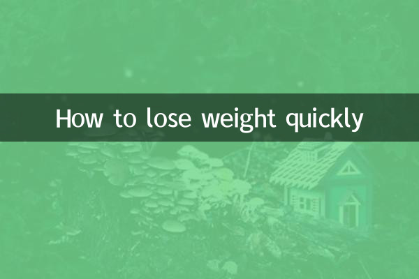 빨리 살을 빼는 방법