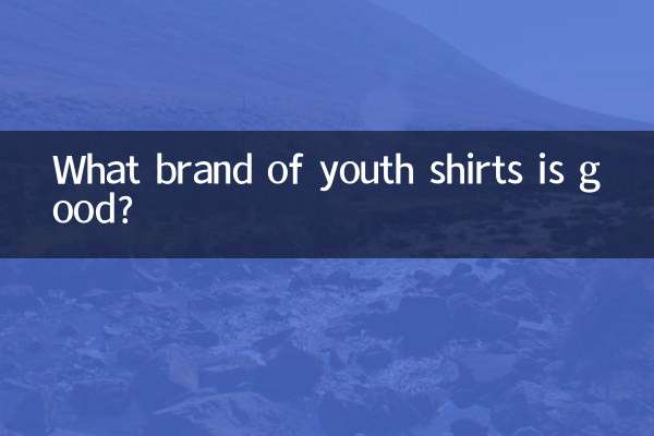 청소년 셔츠 어떤 브랜드가 좋은가요?