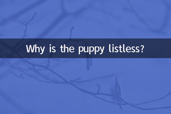 小狗无精打采怎么回事