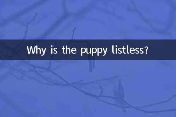 なぜ子犬は無気力なのですか?