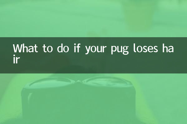 ماذا تفعل إذا فقد كلبك شعره