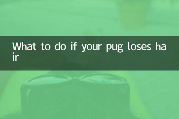 ماذا تفعل إذا فقد كلبك شعره