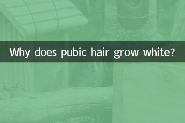 Perché i peli pubici diventano bianchi?