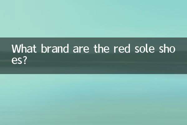 What brand are the red sole shoes?