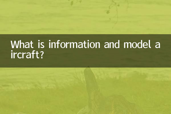 정보항공기란 무엇인가?