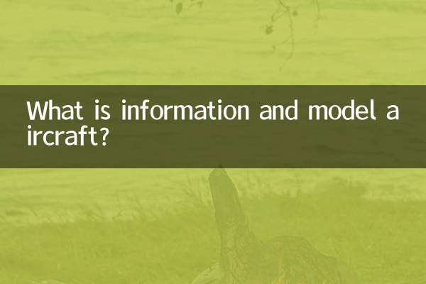 정보항공기란 무엇인가?