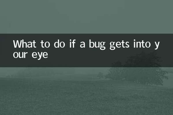 What to do if a bug gets into your eye