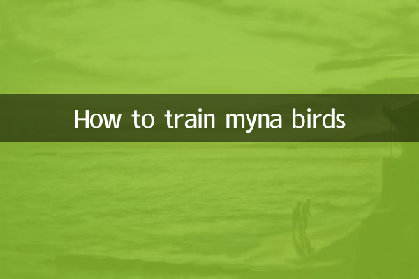 How to train myna birds