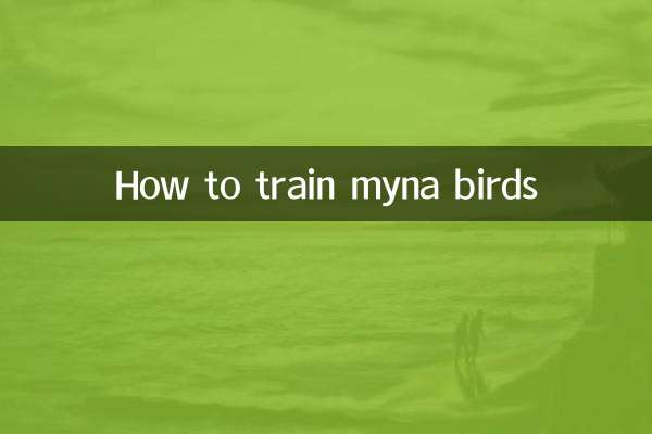 How to train myna birds