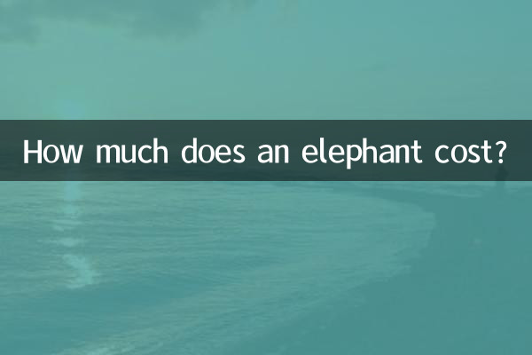 코끼리의 가격은 얼마입니까?