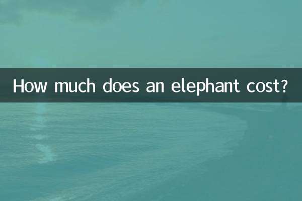 코끼리의 가격은 얼마입니까?