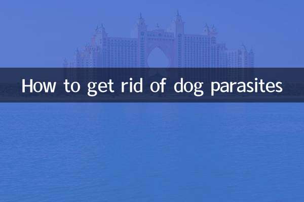 How to get rid of dog parasites