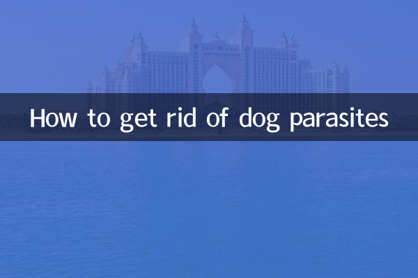 How to get rid of dog parasites