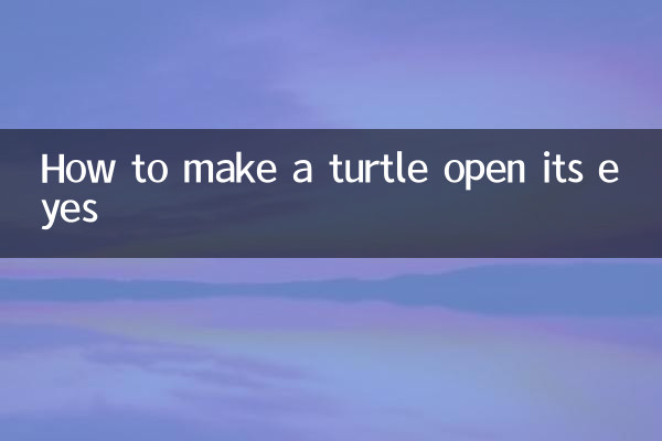 How to make a turtle open its eyes