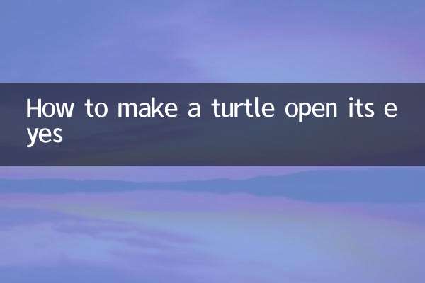 How to make a turtle open its eyes