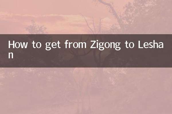 How to get from Zigong to Leshan