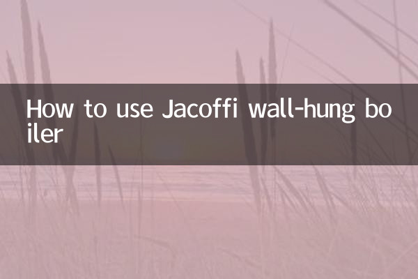 Cómo utilizar la caldera mural Jacoffi