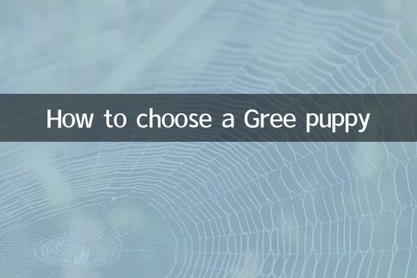 How to choose a Gree puppy