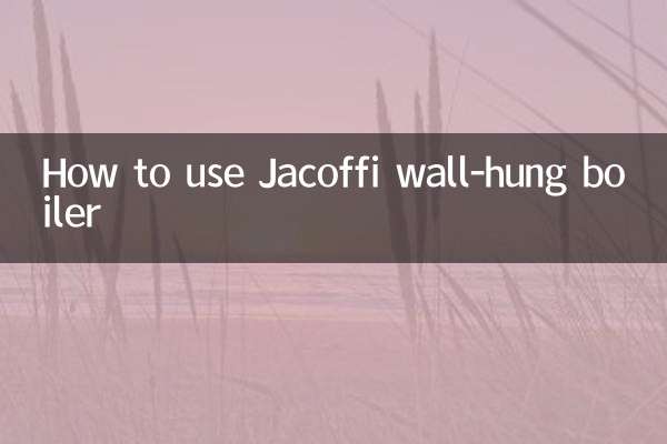 Cómo utilizar la caldera mural Jacoffi