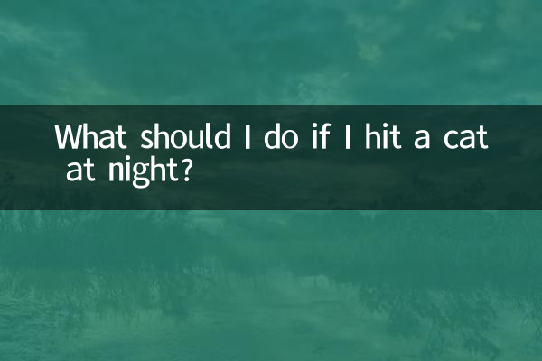 اگر میں رات کو بلی کو مارتا تو مجھے کیا کرنا چاہئے؟